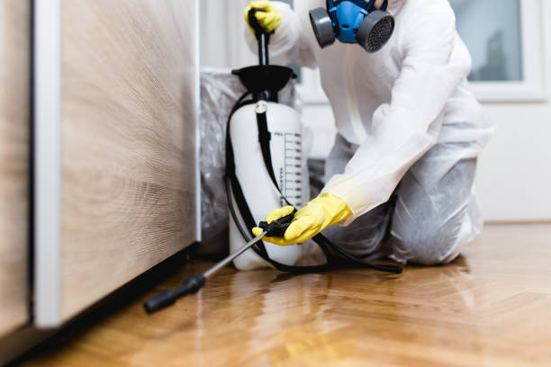 Best Pest Control Treatment  in Simsbury Center, CT