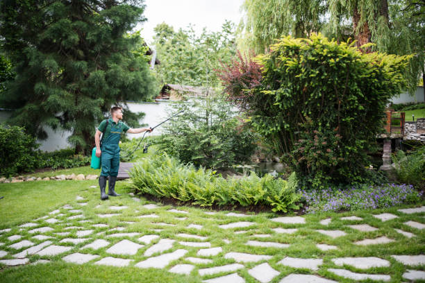 Best Mosquito Control Services  in Simsbury Center, CT